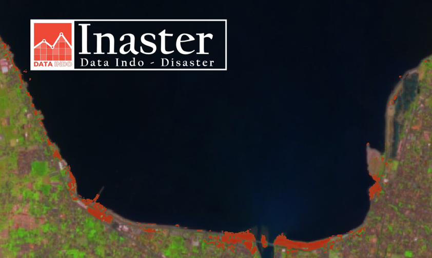 Inaster