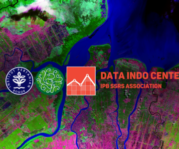 Data Indo Center: Spatial Information Data for National Monitoring System