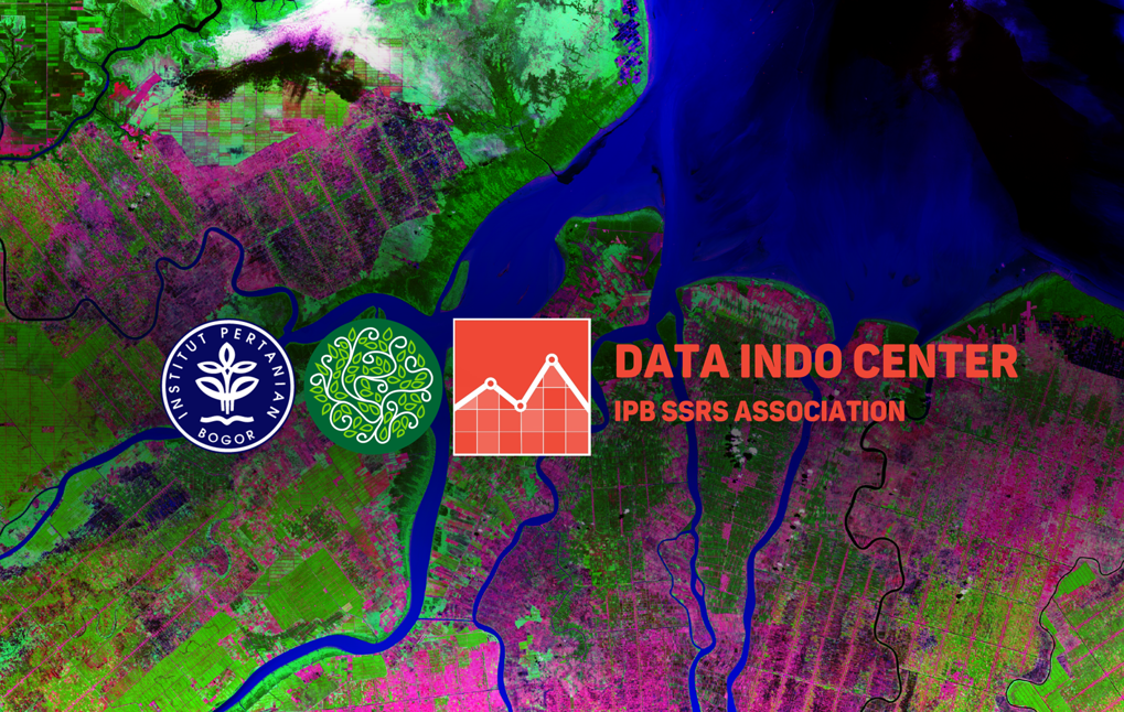 Data Indo Center: Spatial Information Data for National Monitoring System