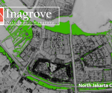 DATA INDO Inagrove – Mangrove Area on North Jakarta City