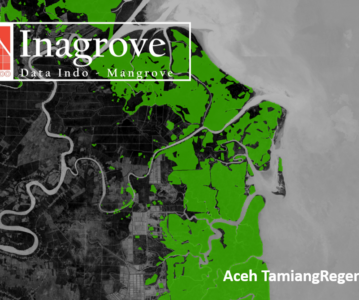 DATA INDO Inagrove – Mangrove Area on Aceh Tamiang Regency