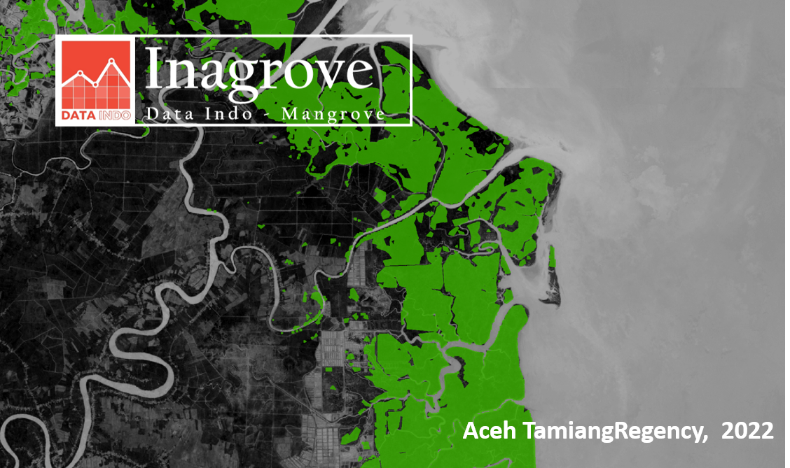 DATA INDO Inagrove – Mangrove Area on Aceh Tamiang Regency